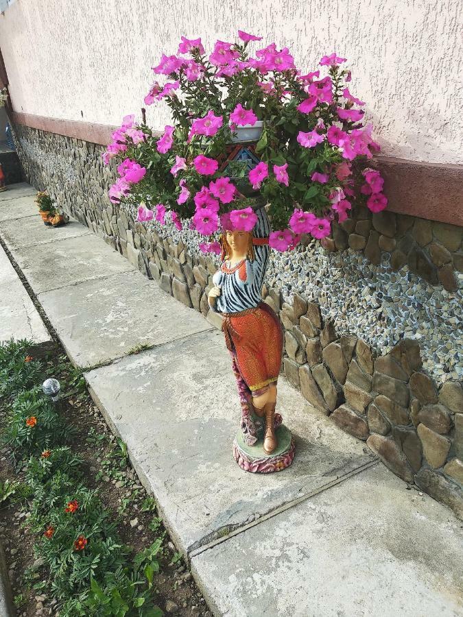 "Різьбярська Садиба" Slavske Eksteriør billede