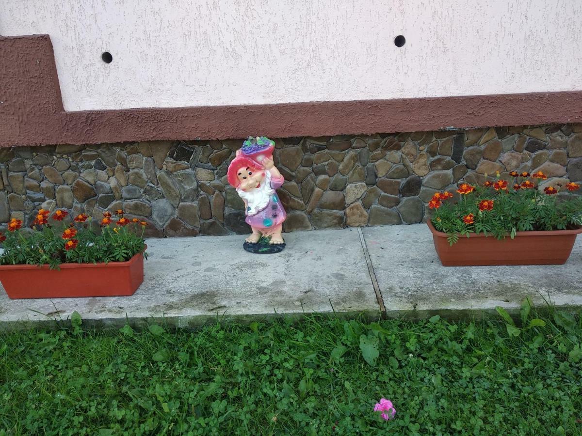 "Різьбярська Садиба" Slavske Eksteriør billede